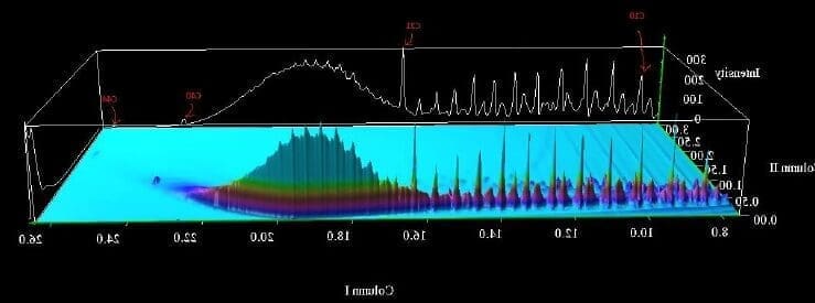 Comment la catégorie 2 d&rsquo;invalidité impacte-t-elle le remboursement de prêt CNP ?